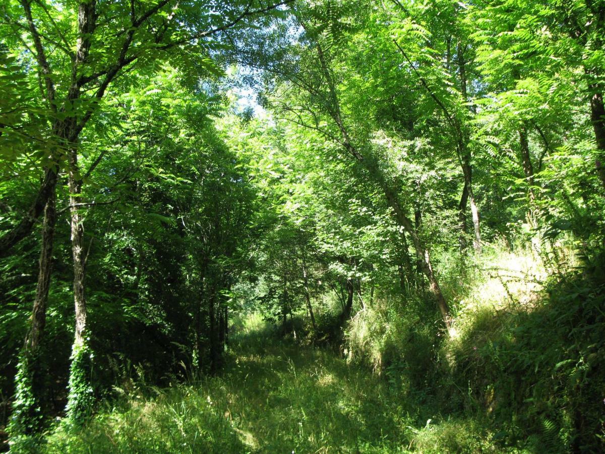 فندق Campismo Rural Vale Dos Moinhos جيريز المظهر الخارجي الصورة